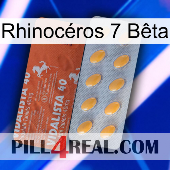 Rhinocéros 7 Bêta 43.jpg